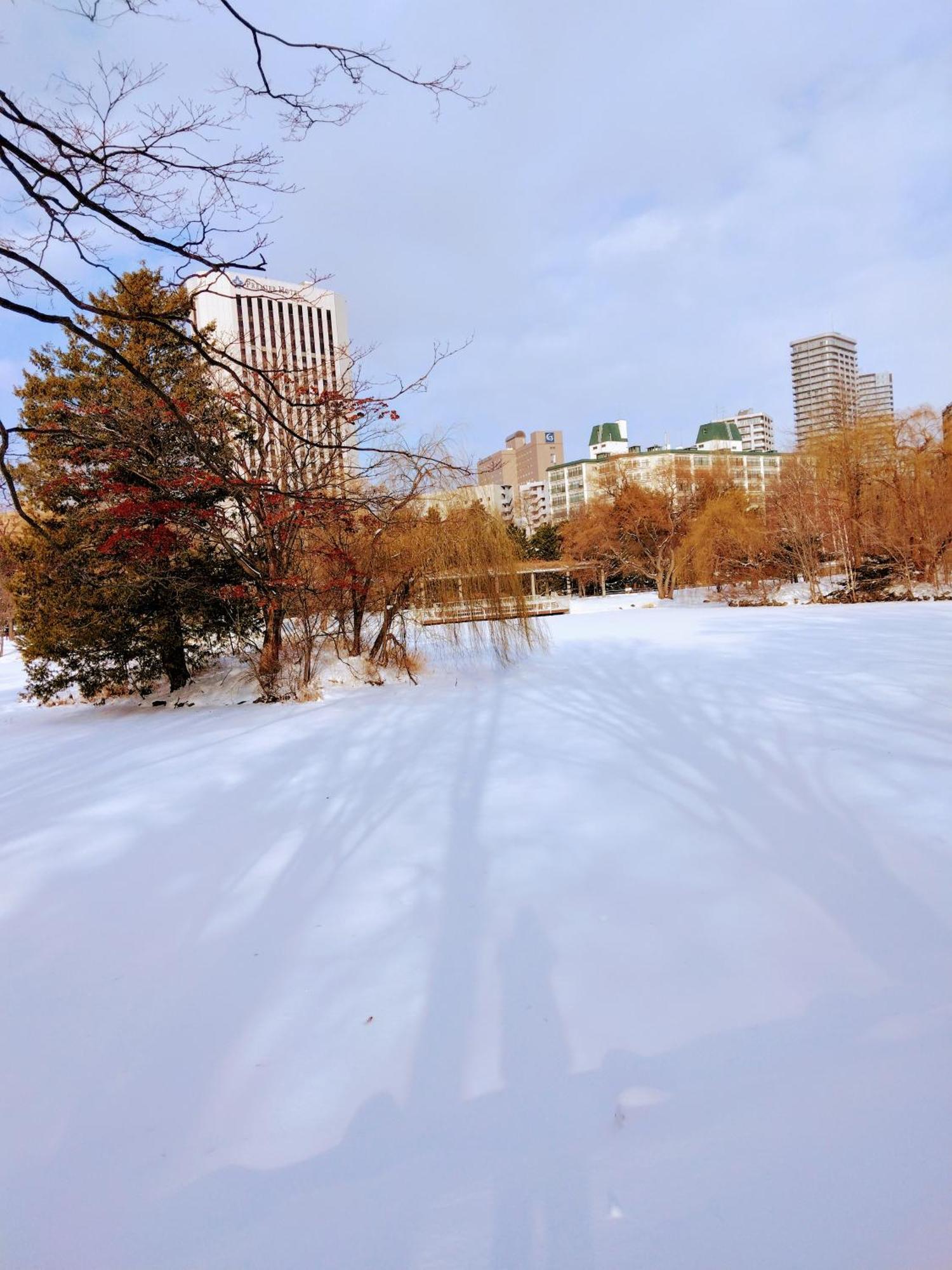 札幌Aup178公寓 外观 照片