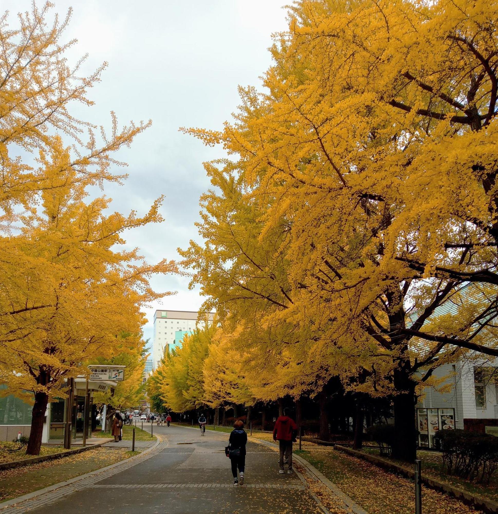 札幌Aup178公寓 外观 照片